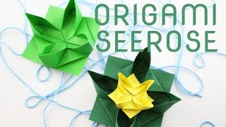 Origami Seerose falten  origami water lily  Faltanleitung  Talude [upl. by Otreblide15]