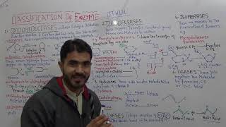 Biology 1 Enzyme classification  six classes of enzyme OTHLIL for FSC In Urdu Hindi By Dr A Hadi [upl. by Trevor]