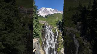 This view of Mt Rainier was impressive😍 mtrainier nature waterfall volcano skylinetrail [upl. by Onitnas]