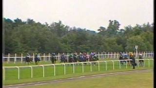 1990 Kings Stand Stakes [upl. by Aihtnys]