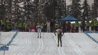 Nordic Skiing Technique  Double Poling [upl. by Claus495]