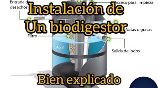 Explicación de cómo instalar un biodigestor autolimpiante [upl. by Enidan66]