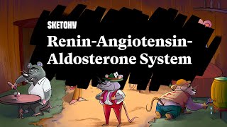 ReninAngiotensinAldosterone System Part 1  Sketchy Medical  USMLE Step 1 [upl. by Sadnalor]