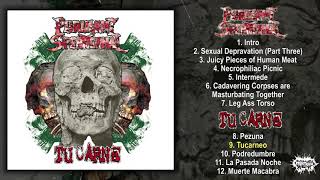 Purulent Spermcanal  Tu Carne  split CD FULL ALBUM 2020  Goregrind [upl. by Nnylrefinnej]