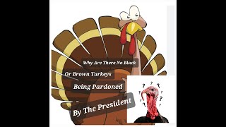 Why Are There No Black Or Brown Turkeys Being Pardoned By The President [upl. by Kcin]