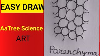 how to draw parenchyma aatreescienceart shorts parenchyma [upl. by Behl]