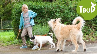 Kleiner Hund was nun Folge 28  Tiere bis unters Dach  SWR Plus [upl. by Solracesoj660]