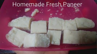 Homemade Fresh Paneer from Buttermilk recipe [upl. by Gargan]