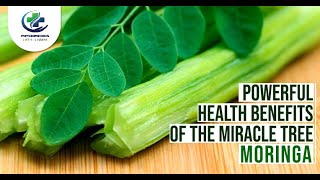 Health Benefits Of Moringa  Surprising Health Benefits Of Moringa Leaves [upl. by Droffats874]