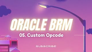 Oracle BRM  05 Writing Custom Opcodes Practically [upl. by Avevoneg34]