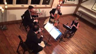 Druschetzky Oboenquartett in g Andante [upl. by Petua]