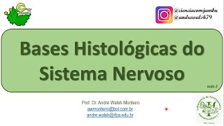 IntNeuro Bases Histológicas aula 2 [upl. by Atnoled598]