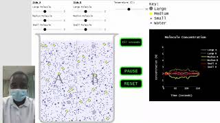 Molecule Movement Across a Semipermeable Membrane simulation [upl. by Idnac882]