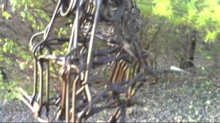 Greenhorn Trapping Part 1 Coon Mink Fox Coyote Beaver [upl. by Accebber]