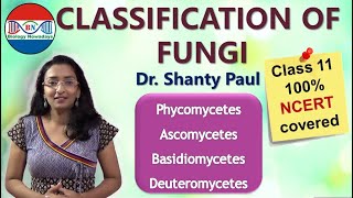 Classification of fungi  Biological classification [upl. by Klockau]