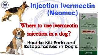 Ivermectin injection Neomec use in dogs in English  Dogs treatment medicine  Veterinary medicine [upl. by Aiza]