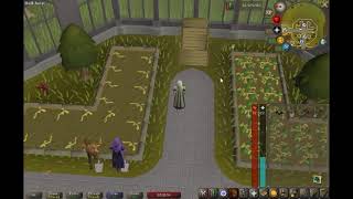 OSRS How to harvest crops and put them in the compost bin at the SAME TIME Probably a bug [upl. by Kallman]