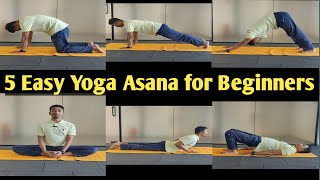 5 Easy Yoga Asanas With Names  Yoga for Beginners  Yoga Stretches [upl. by Axia]