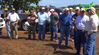 Banpro TV  Productores de León y Chinandega con ejecutivos de Banpro [upl. by Lauber]