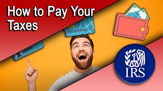 How to Pay Your Taxes [upl. by Carlie]