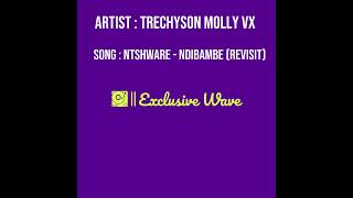 Trechyson Molly vx  Ntshware  Ndibambe Revisit  Amapiano [upl. by Campball]