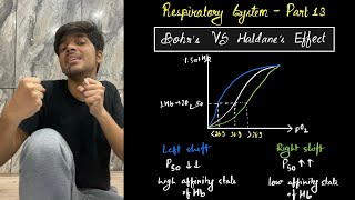 Respiratory System 13  Bohrs Effect VS Haldanes Effect  CEE  NEB Boards Class 12  MBBS Nepali [upl. by Ja90]