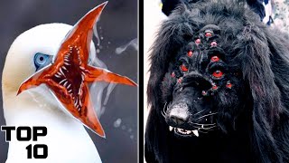 Top 10 Weirdest Animals Found In Chernobyl [upl. by Eisteb188]