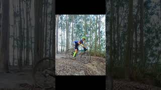 Cannondale Trail Eucaliptos Favorite Corner [upl. by Schroder100]