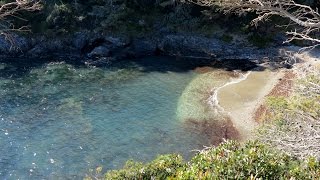 La presquîle de Giens  De la plage des Darboussières à la plage dEscampoBarriou [upl. by Sakul664]