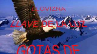 HOOPONOPONO CON LAS ALAS AL VIENTO POR VIVI CERVERA [upl. by Haldan]