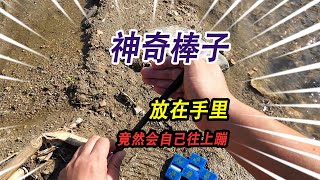 野外小河里发现一根神奇的棒子，放在手里之后，竟然会自己往上蹦 [upl. by Ellinet]