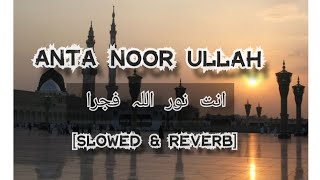 🥀✨Ya Nabi Salam Alaika ANTA NOOR ULLAHI FAJRANBeautiful Arabic Naat❤️✨انت نور اللہ فجرا [upl. by Malory]