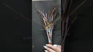 fruit stem diy for vash diy stemcolouring vashdecor [upl. by Akeem646]