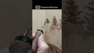 Wood Burning  Simple easy Evergreen Trees tutorial shorts [upl. by Asillem566]