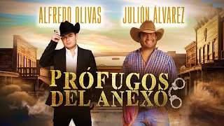 Profugos Del Anexo  Julión Álvarez y Alfredo Olivas quotEn las buenas y en las malasquot [upl. by Aneeb334]