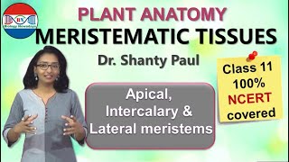 Meristematic tissues  Anatomy of flowering plants [upl. by Oigile]