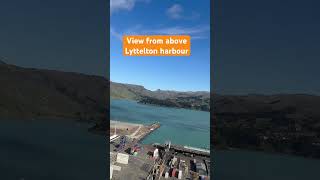 View from above Lyttelton harbour shorts fyp view sea [upl. by Larok415]