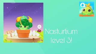 Plant nanny 2  Nasturtium level 3 [upl. by Marillin]