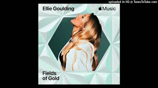 Ellie Goulding  Fields Of Gold Studio Acapella WAV [upl. by Ulu]