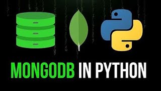 Python MongoDB [upl. by Addiego]