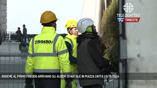 INSIEME AL PRIMO FREDDO ARRIVANO GLI ALBERI DI NATALE IN PIAZZA UNITA  11112024 [upl. by Selrahcnhoj]