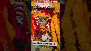 🙏Jai 🙏 maa ❤️Bawa wali ji 🙏 ❤️maa love ❤️ ytshort video [upl. by Jorry555]