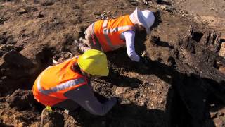 Barangaroo Headland Park Archaeology Story [upl. by Acinoreb]