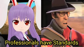 Touhou X TF2 MMD Professionals have Standards [upl. by Kcirdef674]