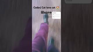 Codarj Cat Love Cat 🏫🏫🏫🏫 emojicat codarjcat emoji emojicatCodarjCat [upl. by Lehcem748]