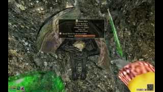 Lets Play Morrowind  Poncho the Wanderer  Pt 21  Creepy Cave [upl. by Bride]