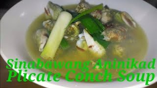 Sinabawang Aninikad Plicate Conch Soup Recipe [upl. by Niamert917]