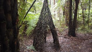 Toolangi Sculpture Walk Best walks near Melbourne [upl. by Adiarf183]