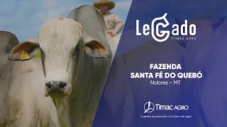 Depoimento LeGado  Fazenda Santa Fé do Quebó  NobresMT NUTRIFLEX [upl. by Cavanaugh]