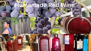 Homemade Red Wine [upl. by Havard]